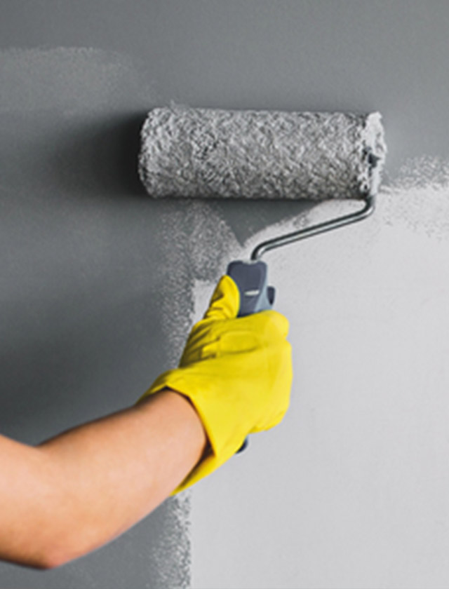 Boston area painting project